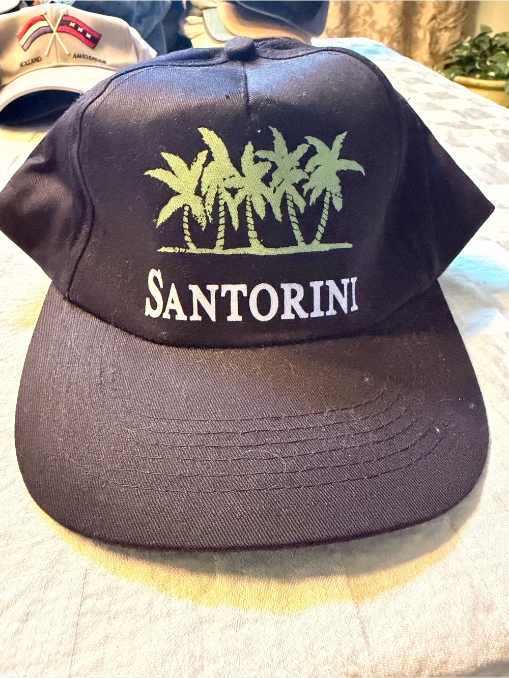 Black Baseball Cap with Green Palm Motif